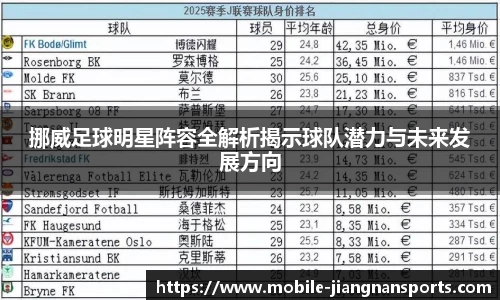 挪威足球明星阵容全解析揭示球队潜力与未来发展方向